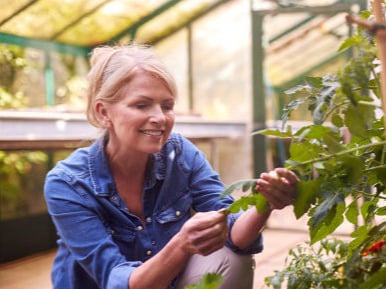 A smiling woman in a denim shirt gardening in a sunlit greenhouse, representing vitality and wellness